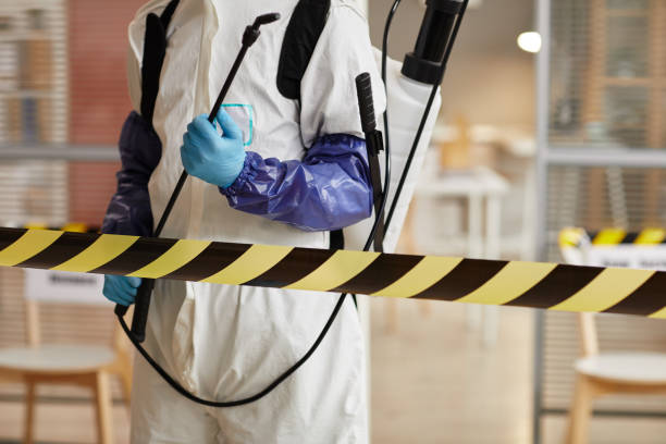 Professional Sewage Cleanup technician working in Ocklawaha, FL